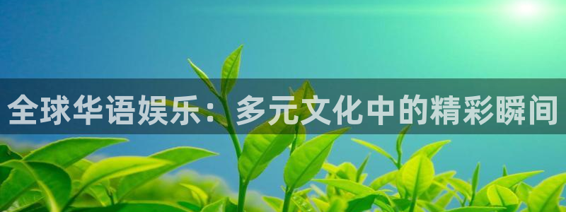 长征娱乐：全球华语娱乐：多元文化中的精彩瞬间