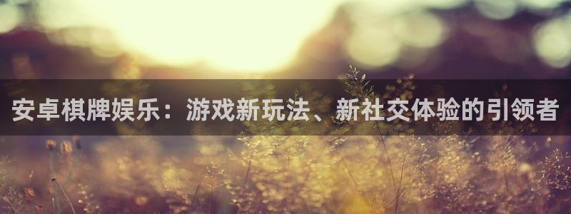 长征娱乐平台注册：安卓棋牌娱乐：游戏新玩法、新社交体验的引领者