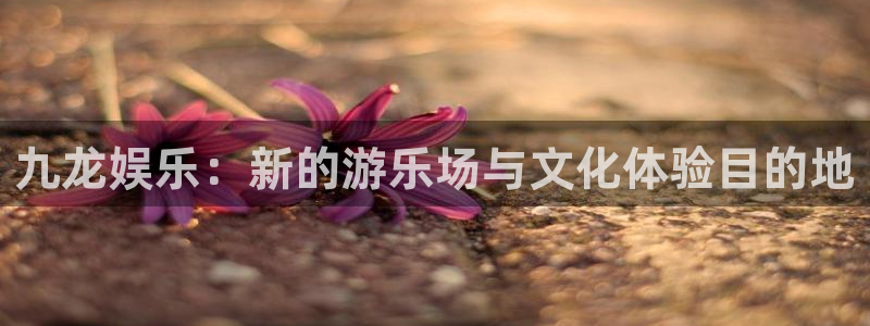 长征娱乐平台注册：九龙娱乐：新的游乐场与文化体验目的地