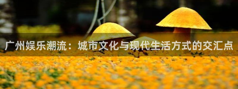 长征娱乐：广州娱乐潮流：城市文化与现代生活方式的交汇点