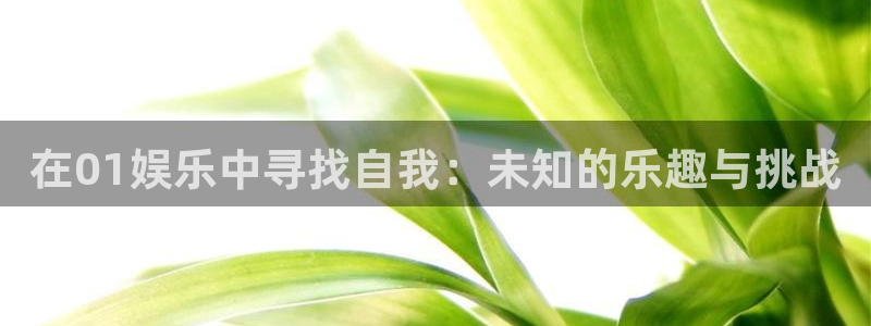 长征娱乐主管：在01娱乐中寻找自我：未知的乐趣与挑战