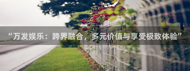 长征娱乐平台：“万发娱乐：跨界融合，多元价值与享受极致体验”