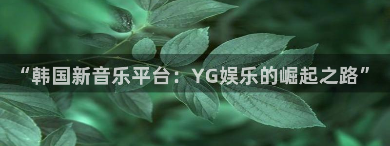 长征娱乐登录：“韩国新音乐平台：YG娱乐的崛起之路”